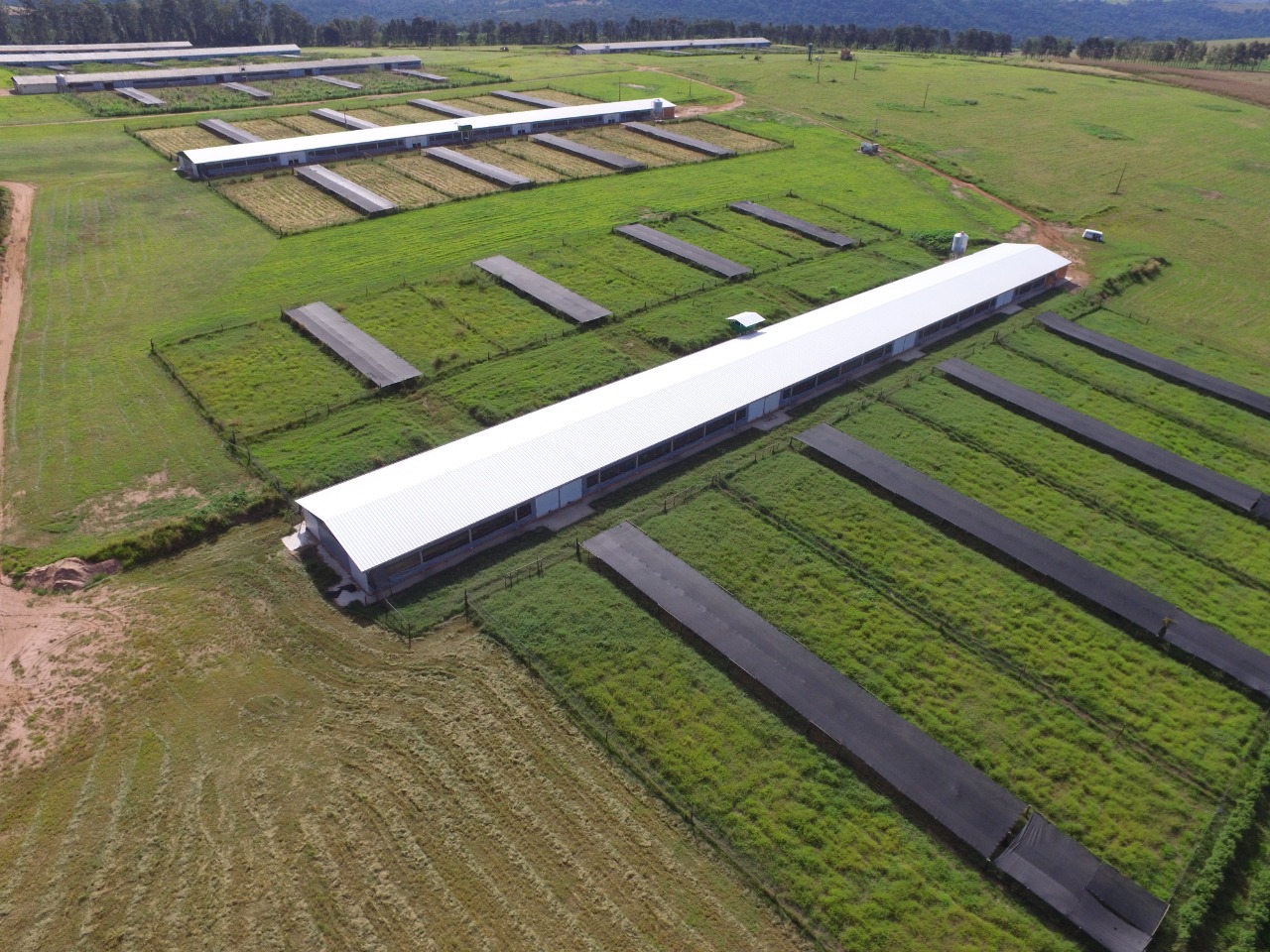 Selo Carbon Free e projeto de restauração florestal na Fazenda da Toca ajudam propriedade a obter R$ 25 milhões em títulos verdes
